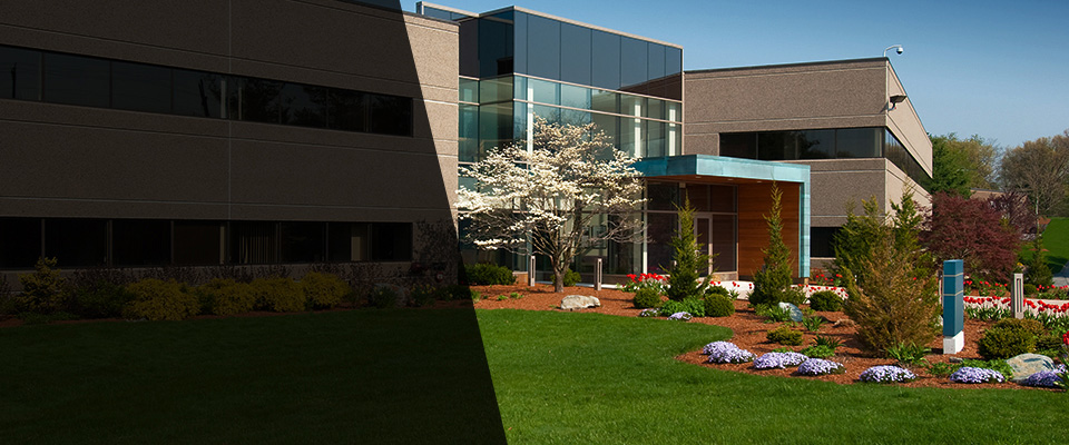 Gloucester City Landscapers