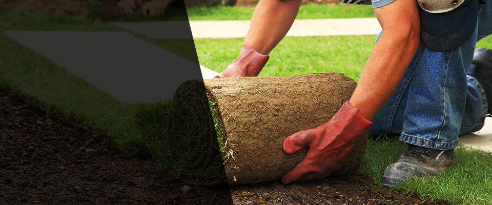 Gloucester City Landscapers